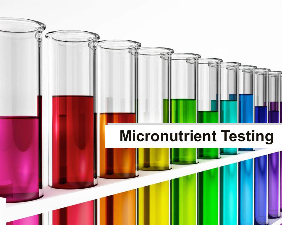 Why Micronutrient Testing is Important