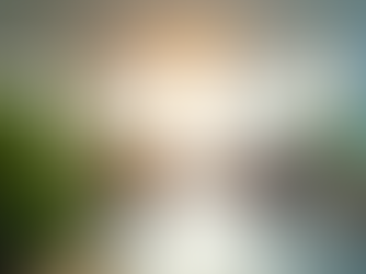 The Role of Corporate Wellness in Modern Workplaces