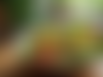 Understanding the Link Between Nutrition and Mental Health