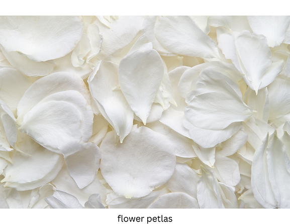 Untitled (11 x 8.5 in) (3).png