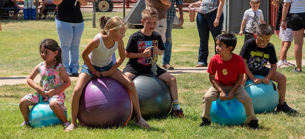 RHideDays44A_081125.jpg