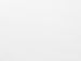 SFF26 - WEB BANNER-BG.jpg