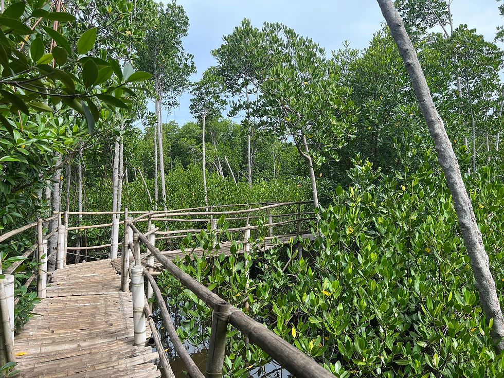 Mangrove Park