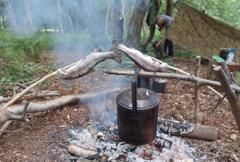 fish and fire.png