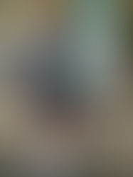 Beykoz Gece Yarışı