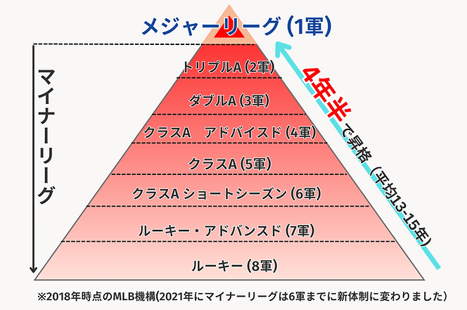 ※２０１８年時点のMLB機構 (2).png