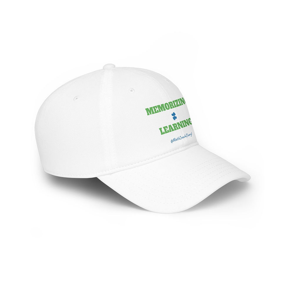 Thumbnail: Memorizing ≠ Learning Low Profile Baseball Cap