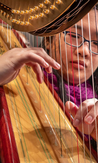 EL Music Studio Harpist