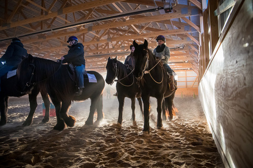 Horses