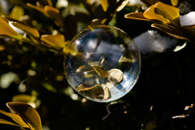 Frozen Bubble