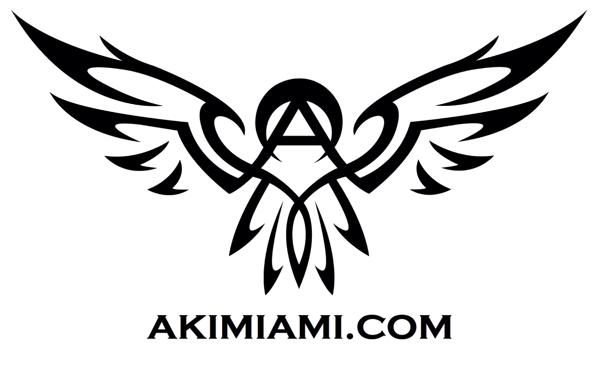 American Karate Institute Miami gallery