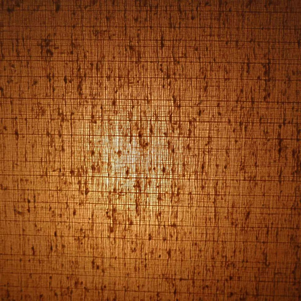 Thumbnail: Floor lamp by Giovanni Banci