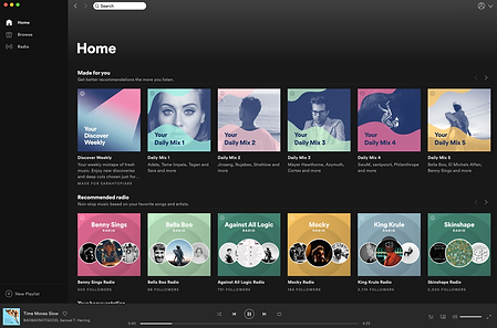 5e7bc397bdd0453e66c788de_Spotify_Home.png