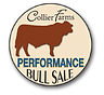 bullsale_big.png