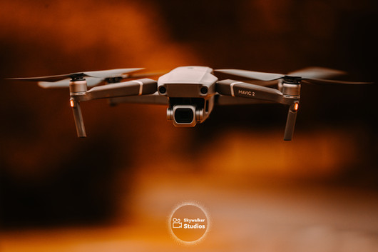 SKYWALKER STOCK-3.jpg