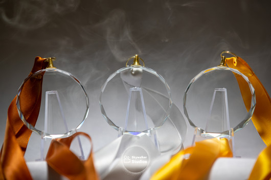 SKYWALKER STOCK-9.jpg