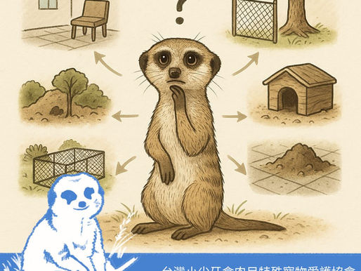 怎麼讓狐獴住的舒適？打造理想飼養環境大公開！