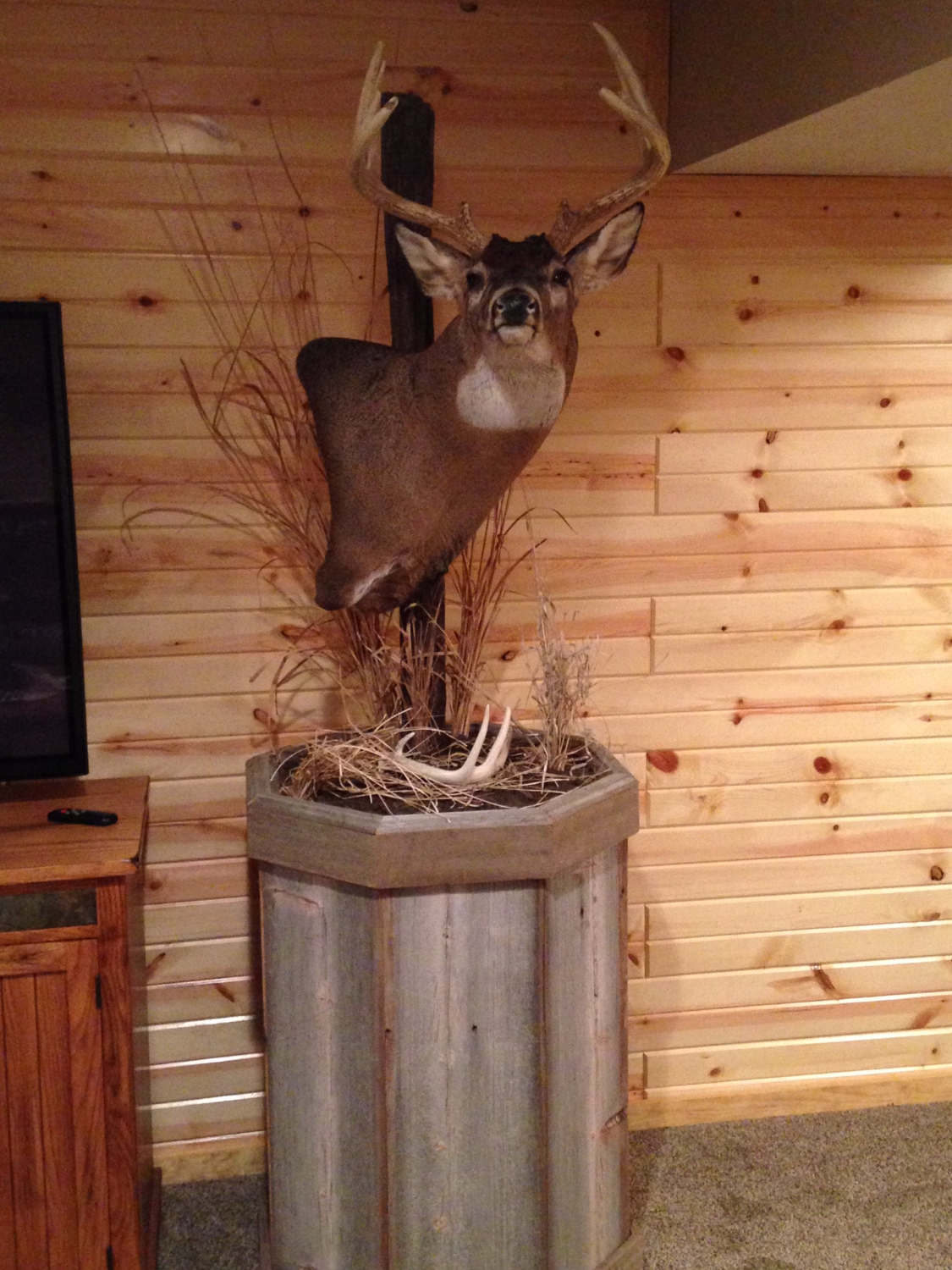2015 Shed Antlers