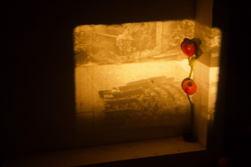 IMG_7783.jpeg