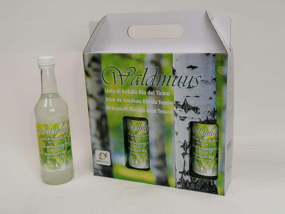 Miniatura: Linfa di betulla bio bottiglia 500ml