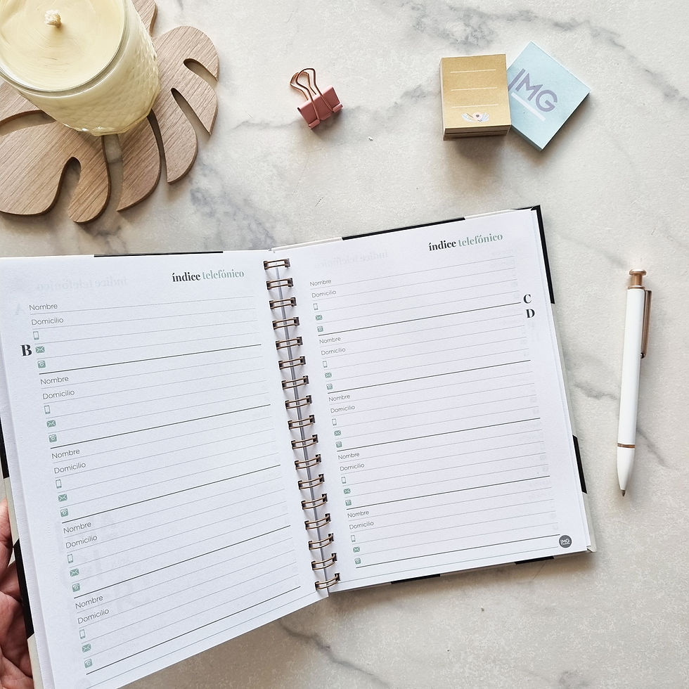 Miniatura: Agenda N8 (18x22.5cm) ELEGANT