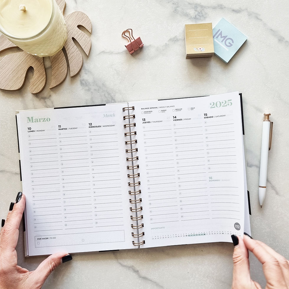 Miniatura: Agenda N8 (18x22.5cm) ELEGANT