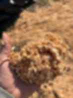 Sawdust pile
