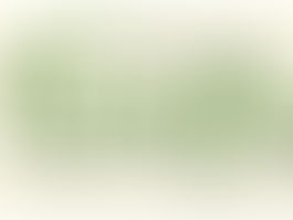 First Selectman Issues Emergency Order to Assist Elderly Residents