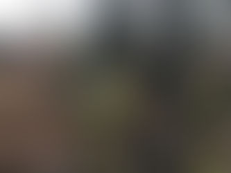 Guilford Firefighters Respond To Essex For Propane Emergency