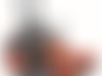 Kubota Recalls Zero Turn Mowers Due To Fire Hazard