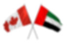 Meena Development for Piping Stress Analysis, Structural Engineering across Canada & Abu Dhabi, Dubai, United Arab Emirates. by Meena Rezkallah, P.Eng. and engineering consultant company