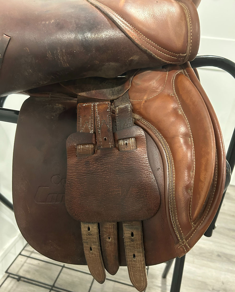Thumbnail: Collegiate convertible saddle