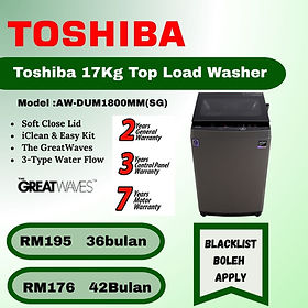Toshiba 17kg Top Load Washer