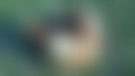 旬の野菜を食す