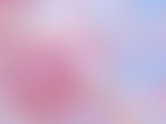 『心の美しさ』