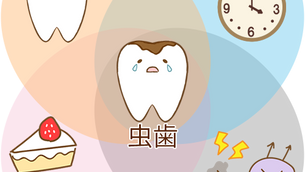 失って改めて気づくこと　　～差し歯の話～