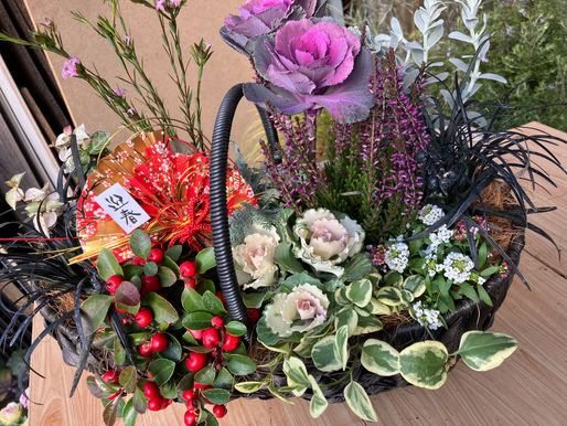 好きなことをやる