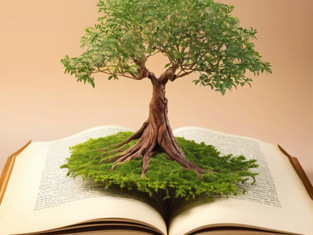 Introduction to Taproot: Reframing American Debate