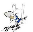 skark dassault.jpg