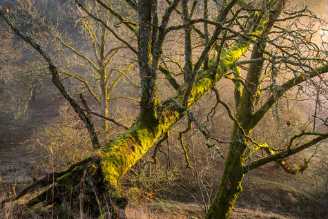 Öresten, Västergötland