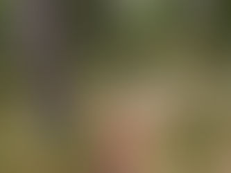 Om du lämnar stigen ...