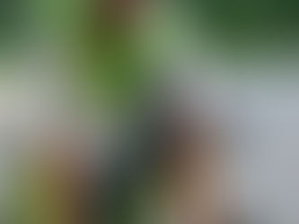 Helteisessä JäPy tempossa lyötiin kauden kalustoennätys tänään!