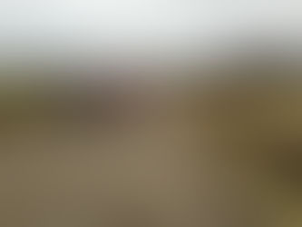 Rauhallinen lämmittelylenkki illan varsinaisiin koitoksiin...