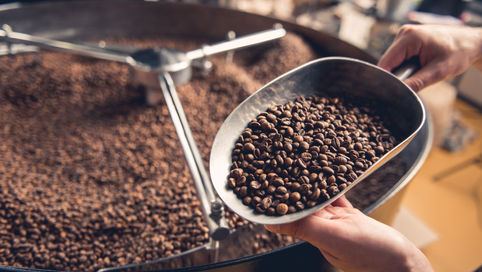 From Beans to Brews: Exploring the Current State and Future of the Coffee Industry