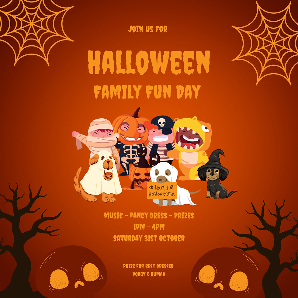 Halloween Family Fun Day