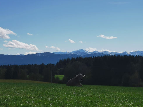 Panorama.jpg