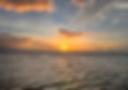 IMG_0911_edited.jpg