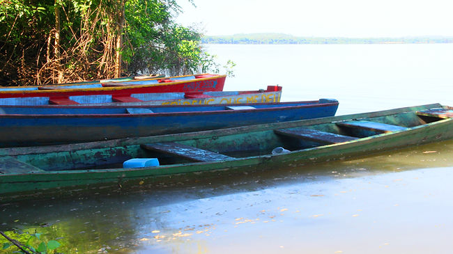 Canoas_Falcão.jpg