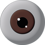 Eyeball_edited.png