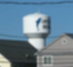 ree